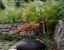 Zen garden with potted Japanese maple