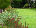 Constantia 2 - bold contrast use of indigenous foliage shrubs