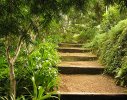 Hout Bay Residence1 - this path was constructed in a manner that also allowed access for horses (and a bull !)