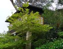 Hout Bay Residence1- Trees were planted in a manner that would 'embrace' and create a 'tree-top' feeling to the residence