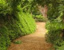 Hout Bay Residence1- Upper pathway meanders between greenery