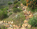 Rustic paths and stairways