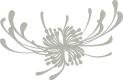 Seed